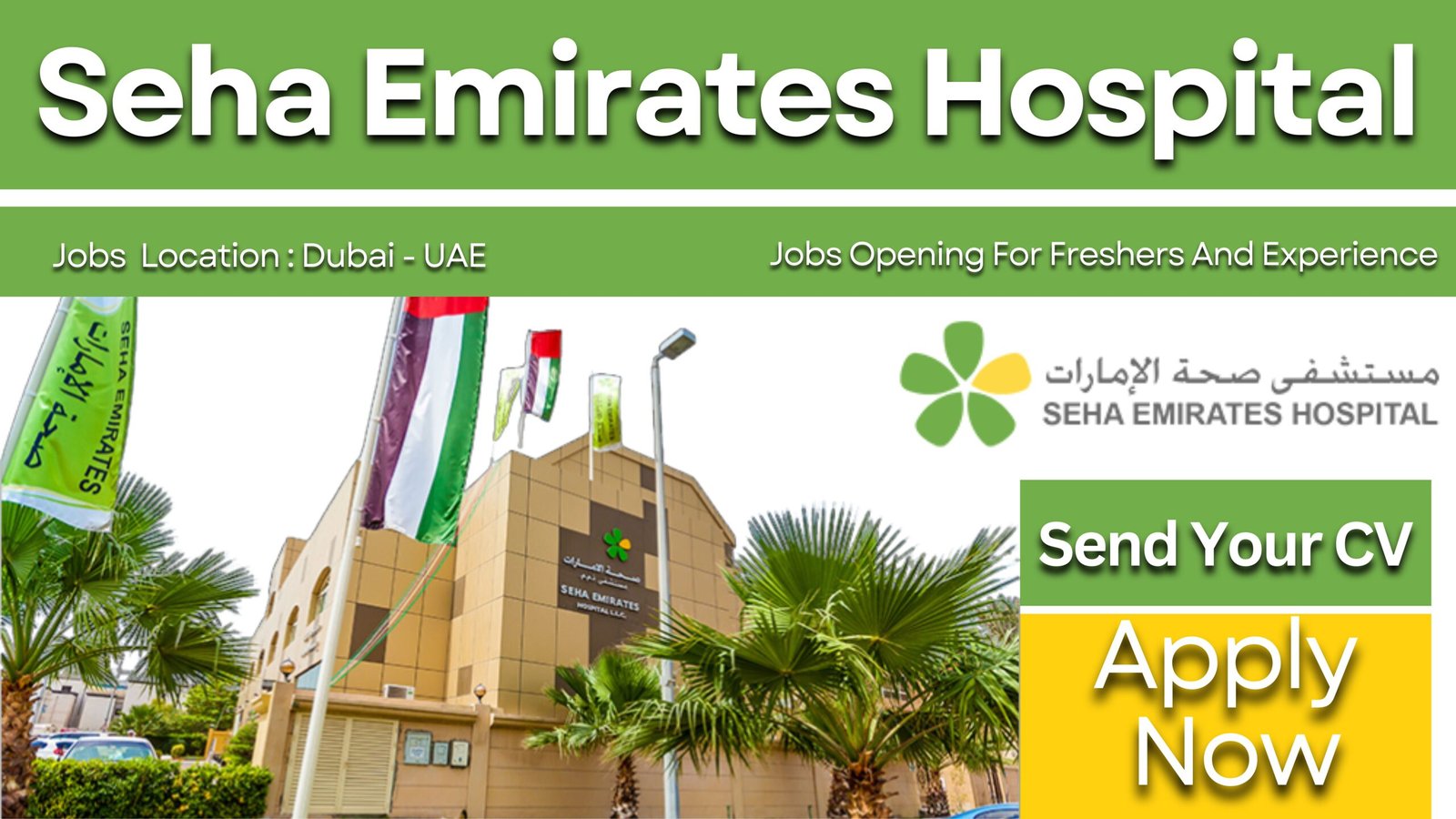 Seha Emirates Hospital Careers
