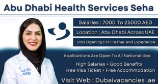 Abu Dhabi Health Services Seha Jobs