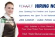 Hyatt Hotel Jobs