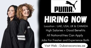 Puma Careers