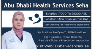 Abu Dhabi Health Services Seha Jobs