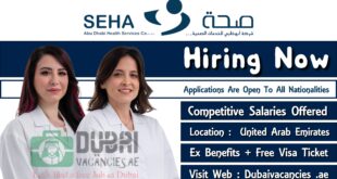 Abu Dhabi Health Services Seha Jobs